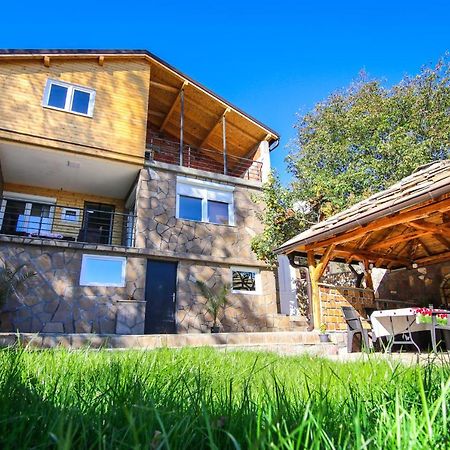 Vila Nemir Zavojsko Jezero Pirot Exterior photo